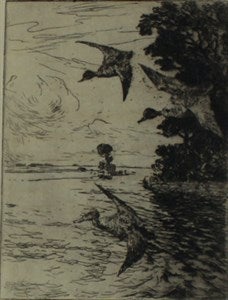 Image description is not available for DU1946.255